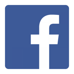 Facebook flat vector logo 400x400